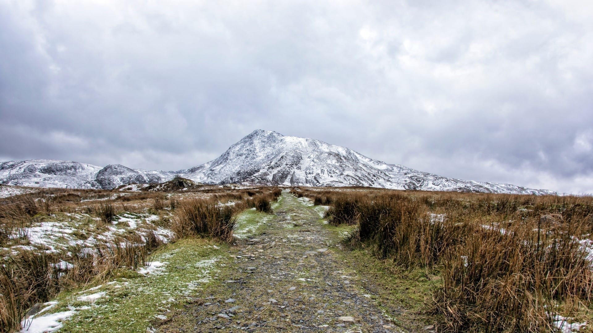 Moel Siabod Daear Ddu - North Wales Hikes