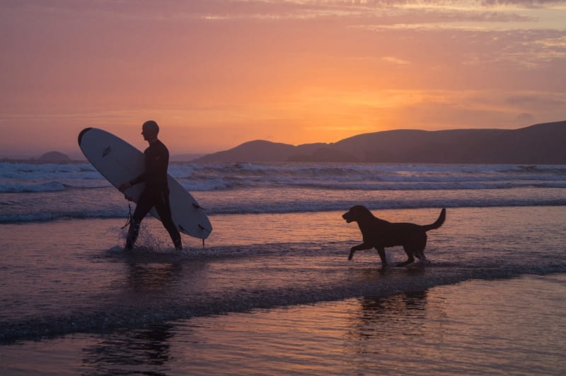 surfer with his dog on Welsh Beach