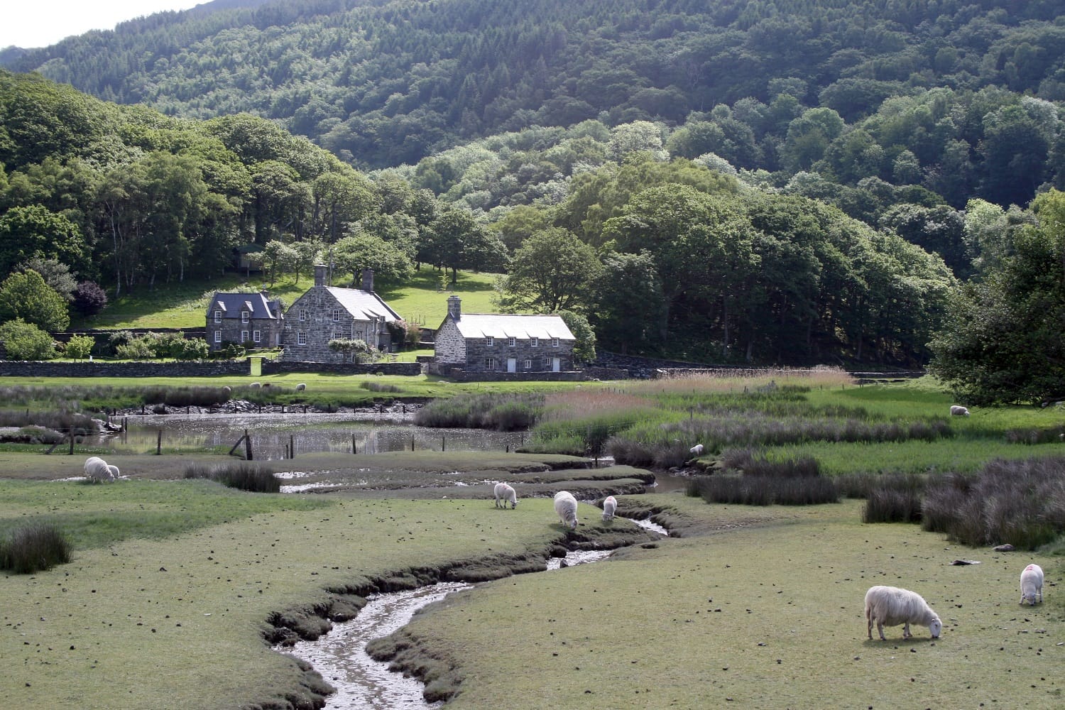 Farm cottage in wales to stay in